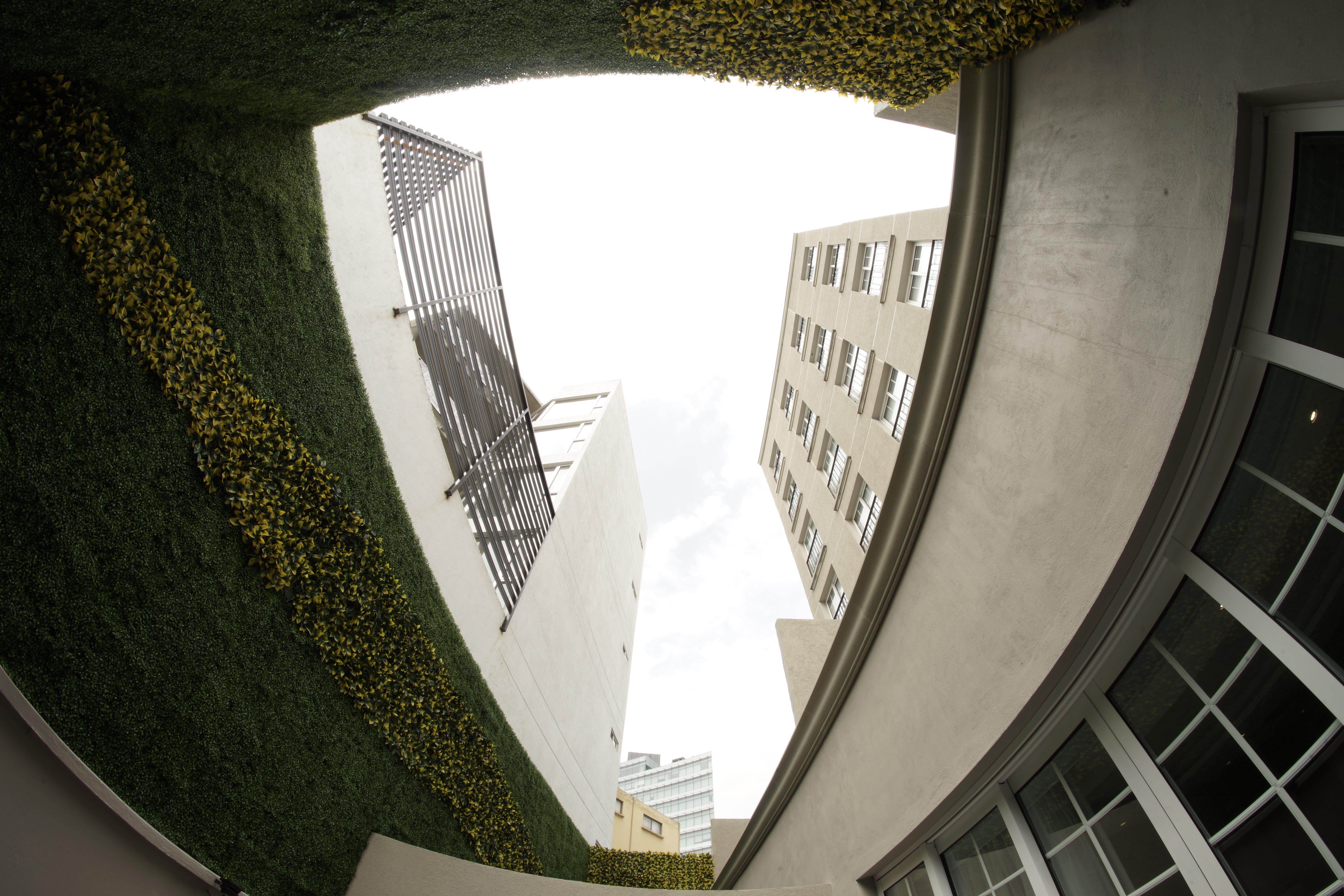 Isaaya Hotel Boutique By Wtc Meksyk Zewnętrze zdjęcie