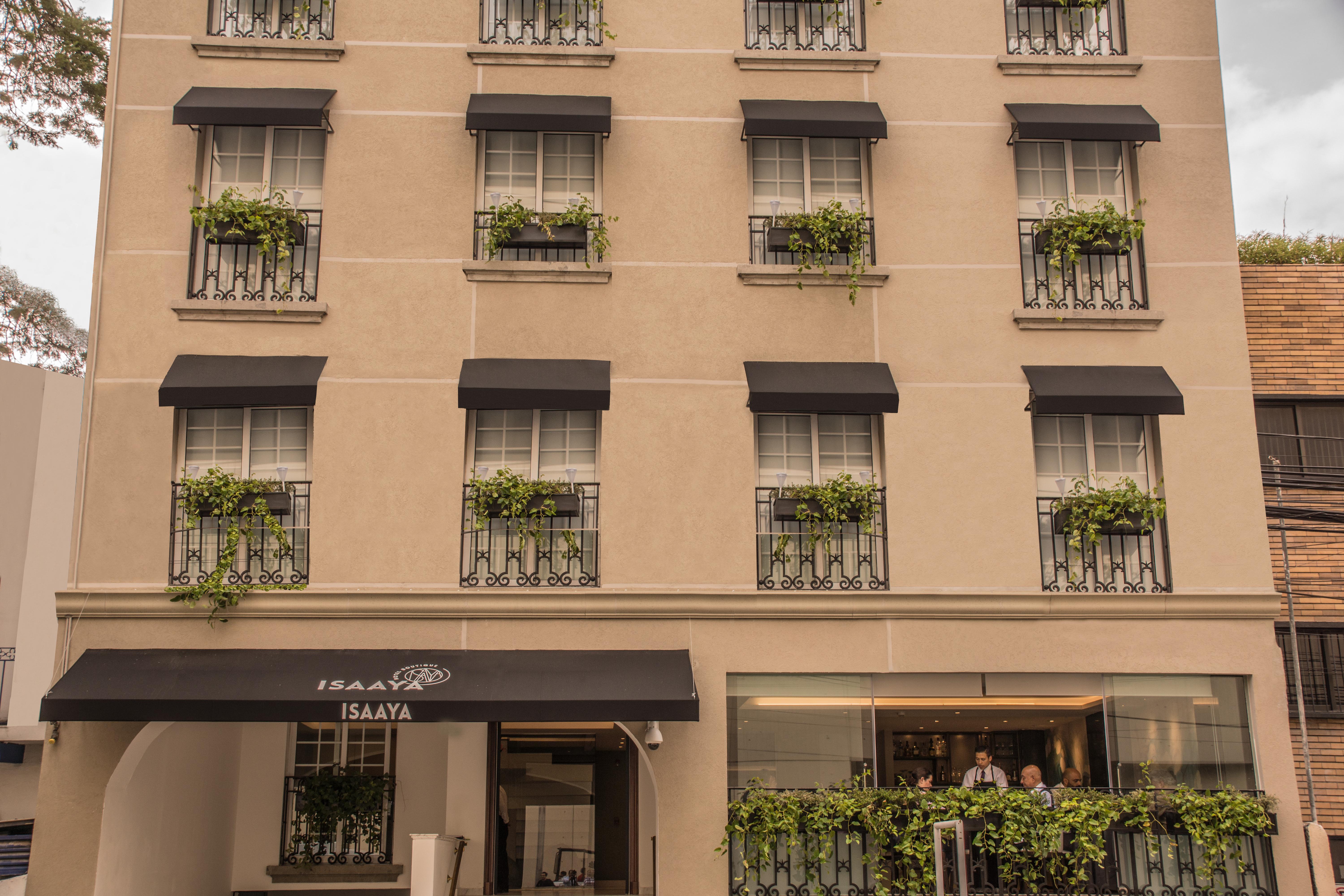 Isaaya Hotel Boutique By Wtc Meksyk Zewnętrze zdjęcie